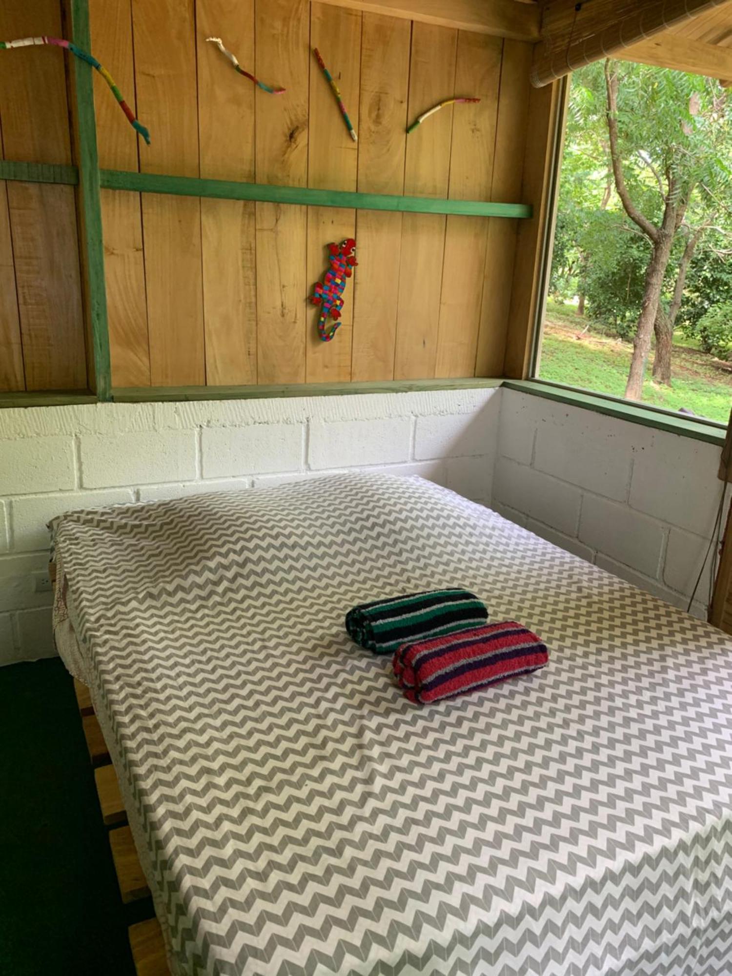 Cabanas Casa Soley Puerto Soley 外观 照片